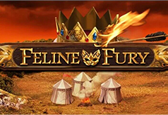 Feline-Fury-Slot